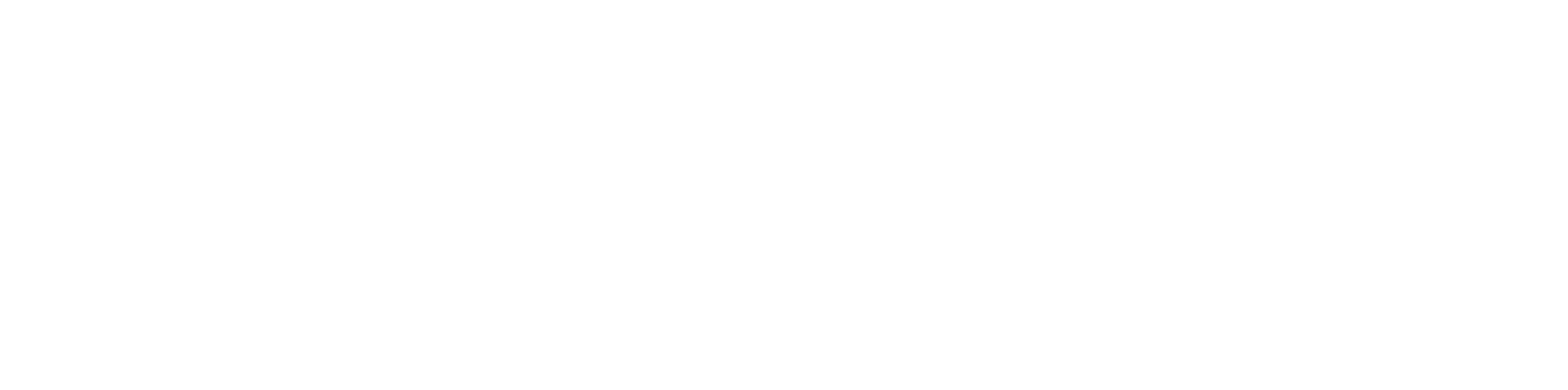 Everything Digital Marketing